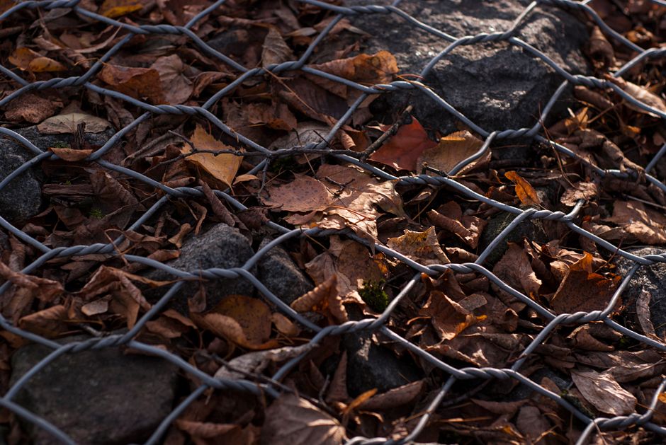 Close-up of a mesh gutter guard with a few leaves resting on top